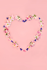 Image showing Heart Shaped Bluebell Flower and Apple Blossom Wreath