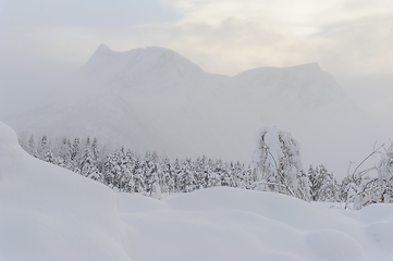 Image showing Snowy Landscape With Trees and Mountains