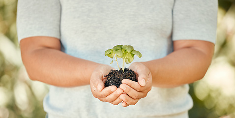 Image showing Hand, plant and soil with growth in the hands of a woman for sustainability and development of an eco friendly environment or eco system. Sustainable, organic and green with plants growing in dirt