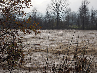 Image showing River Po flood in Turin