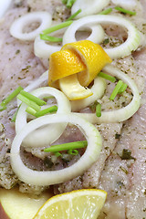 Image showing Fresh herring