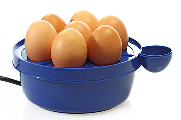 Image showing Egg broiler