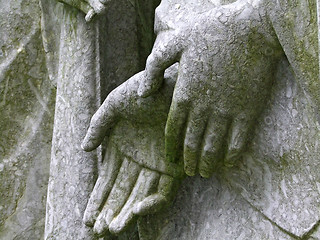Image showing Hands