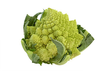 Image showing Romanesco_8