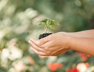 Image showing Plant, earth day and nature sustainability in a green natural eco friendly outdoor gardening environment. Hands, leaf and sustainable soil development with farming growth and reduce carbon footprint