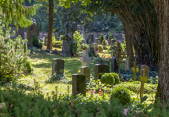 Image showing sunny graveyard scenery