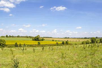 Image showing rural scenery at summer time