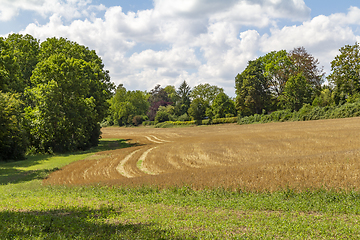 Image showing rural scenery at summer time