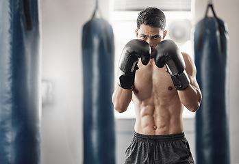 Image showing Boxer, cardio and man training with boxing gloves for sport, workout and exercise in gym. Athlete with motivation, strength and muscle practicing for match with fitness, health and wellness lifestyle