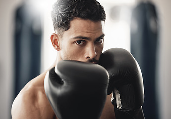 Image showing Fitness portrait of man boxer ready to punch during mma, boxing or fighting workout. Athlete boxing in the gym during training, exercise or practice for a fight, match or competition at a sport club
