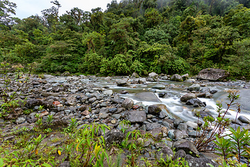 Image showing The Orosi River, Tapanti - Cerro de la Muerte Massif National Park