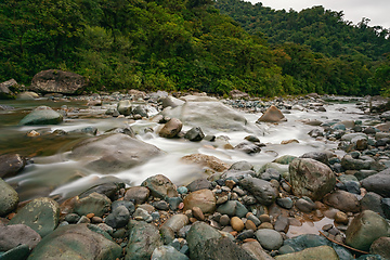 Image showing The Orosi River, Tapanti - Cerro de la Muerte Massif National Park