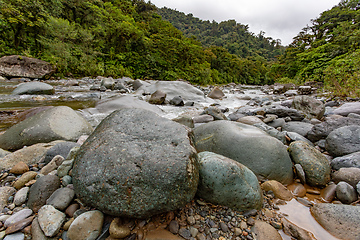 Image showing The Orosi River, Tapanti - Cerro de la Muerte Massif National Park