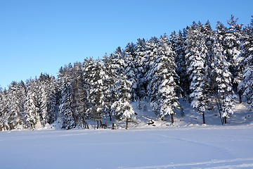 Image showing Vinter