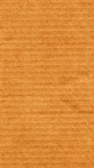 Image showing Brown corrugated cardboard background - vertical