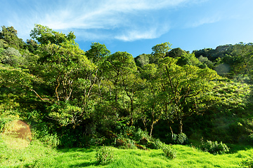 Image showing Landscape in San Gerardo de Dota, Los Quetzales National Park Costa Rica.
