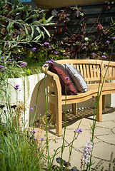 Image showing garden furniture and cushion