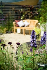Image showing garden furniture and cushion