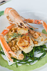 Image showing Langoustine and scallops