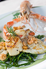 Image showing Langoustine and scallops