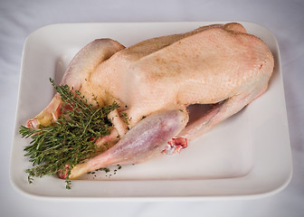 Image showing prepared goose