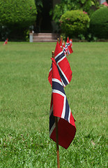 Image showing Norwegian Flags in a garden
