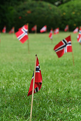 Image showing Norwegian flags in a garden