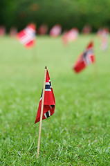 Image showing Norwegian flags in a garden