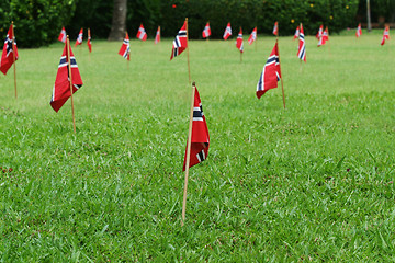 Image showing Norwegian flags in a garden