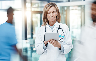 Image showing Woman doctor, digital tablet planning and healthcare working in busy hospital on medical research, online test results and technology. Mature, focus and expert telehealth surgeon connect clinic app