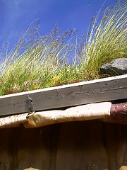 Image showing Detail of roof