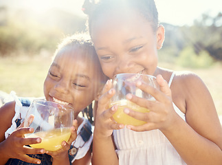 Image showing Juice, kids and happy siblings on a picnic in joyful care and smiling in nature on holiday vacation. Black children in healthy living with smile together drinking vitamin C fruit in outdoor happiness