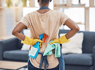 Image showing Black woman, spring cleaning and ready with bottle spray, cloth and gloves for hygiene, fresh home and lounge. Back of female cleaner service, maid and housekeeper disinfect in routine household task