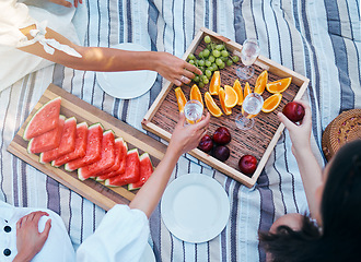Image showing Hands, picnic and fruits of friends with wine at park eating and drink luxury, nutrition and grape celebration champagne in summer. Women, family or people celebrate with healthy diet food top view