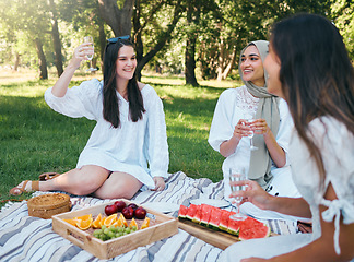 Image showing Picnic, champagne and women toast in a park outdoors in summer, Food, drink and a happy group of friends in nature on the weekend. Diversity, friendship and a party on the grass, relax in summer time