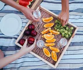 Image showing Picnic, champagne and food with women hands in a park outdoors in summer, fruit, drink and group of friends in nature on the weekend. Diversity, above and a party on the blanket or relax in summer