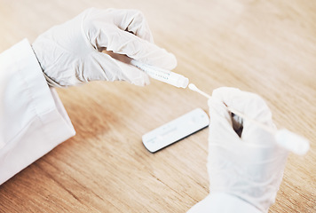 Image showing Covid, test and hands in gloves with a doctor testing a virus sample with a medical swab for healthcare and medicine in a hospital. Medical aid and insurance with a science professional at work