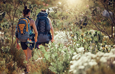 Image showing Women, backpack and hiking in nature environment, countryside landscape or spring forest with trees and flowers. Fitness freedom, workout or camping friends walking in plant growth in summer exercise