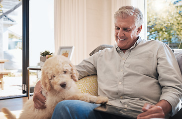 Image showing Happy senior man play with dog on sofa in home living room relax and bonding together for fun, care and happiness. Elderly retirement grandpa smile and love loyal animal pet on couch in house lounge