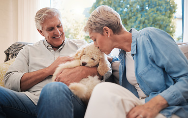 Image showing Love, relax and retirement couple with dog pet on living room sofa together in house. Senior, happy and married caucasian people enjoy bonding with an animal companion in family home.