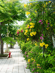 Image showing Sidewalk surrounded by flowers and trees