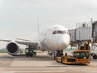 Image showing Japan Airlines Boeing 787-8 in Ho Chi Minh City