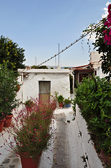 Image showing footpath with plants and small houses