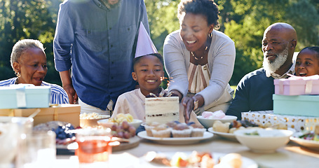 Image showing Young boy, birthday cake or family in garden for party, happy or gift in celebration in nature. Black people, smile and cream dessert with fun with bonding, excited and special kid event in backyard