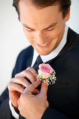 Image showing Groom man, boutonniere or flowers with hands for suit for pride, smile or ready at wedding, party or celebration. Person, excited or rose on tuxedo for thinking, prepare or happy for marriage event