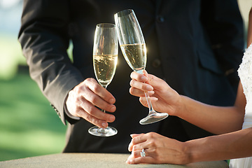 Image showing Hands, couple and toast with champagne, marriage and celebration or event. Newlyweds, people and relax at outdoor ceremony, commitment and cheers in nature, wedding and solidarity or unity at party