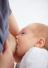 Image showing Closeup, baby and drinking for breastfeeding in home for health in child development, growth or future. Woman, motherhood and bond with nutrition, food and wellness of infant with care, love or trust