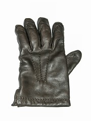 Image showing Leather Glove