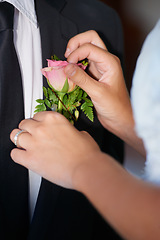 Image showing Closeup, hands or flower on wedding suit, tuxedo or jacket in marriage unity, love or event. People, bride or groom couple and rose, plant or boutonniere in celebration, commitment and placement help