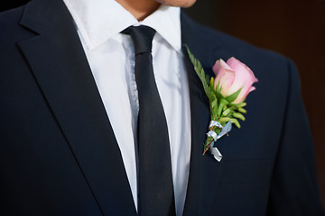 Image showing Closeup, fashion or flower on wedding suit, tuxedo or jacket in marriage clothes, love or event. Person, groom or tie with pink rose, plant or boutonniere in celebration, commitment or romantic style